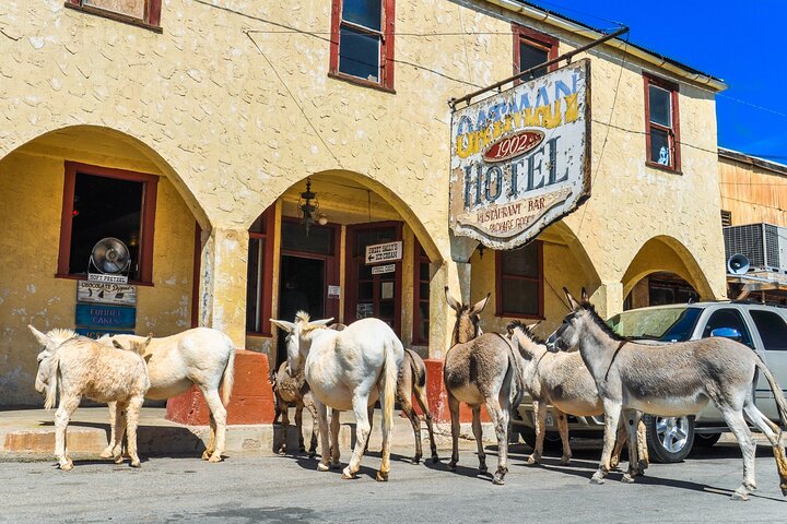 Oatman Mining Camp & Burros: Historic Route 66 Tour from Laughlin