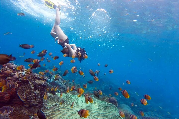From Bali: Nusa Penida Snorkeling and Island Tour