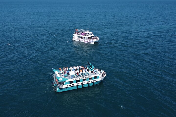 Dolphin watching on a Catamaran in Fuengirola