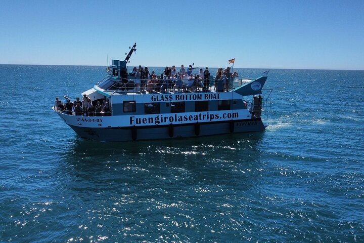 Dolphin watching on a Catamaran in Fuengirola