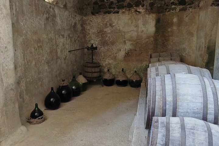 Visit in Freedom Aragonese Castle Ischia, with PDF Guide