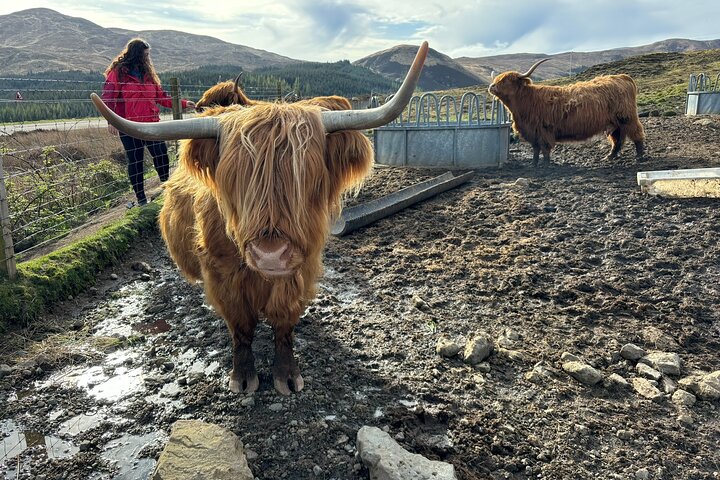 Isle of Skye Highlights - Bespoke Private Tour for up to 7 guests