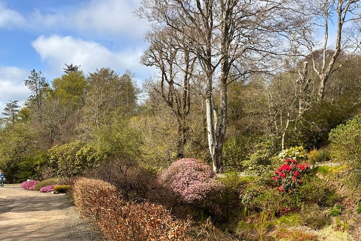 Isle of Skye Highlights - Bespoke Private Tour for up to 7 guests