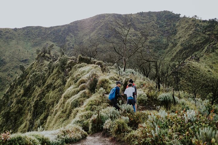2 Days Tour to Mount Merbabu from Yogyakarta