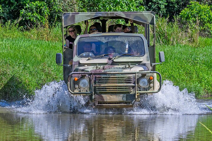 UTV 4wd Cassowary Falls and Daintree Rainforest Adventure tour