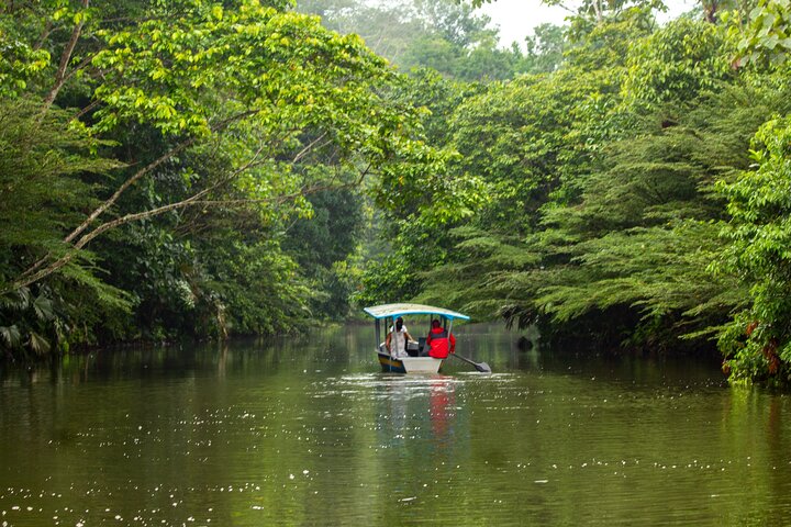 4-Day All-Inclusive Amazon Adventure: Explore Napo's Rainforest