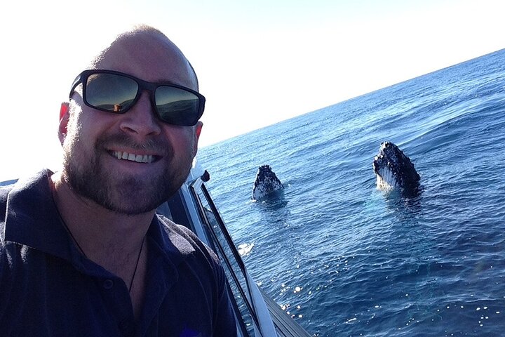 Whale Watching in Coffs Harbour
