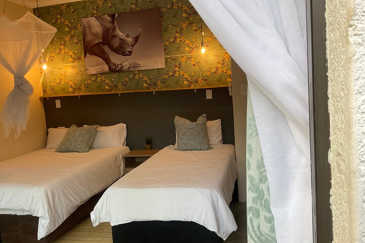 All Inclusive 2 Day Kruger Safari from Nelspruit