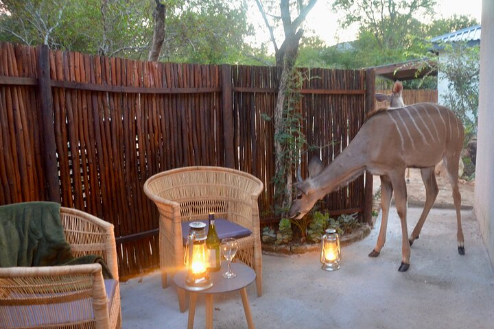 All inclusive 3 Day Kruger Safari From Nelspruit
