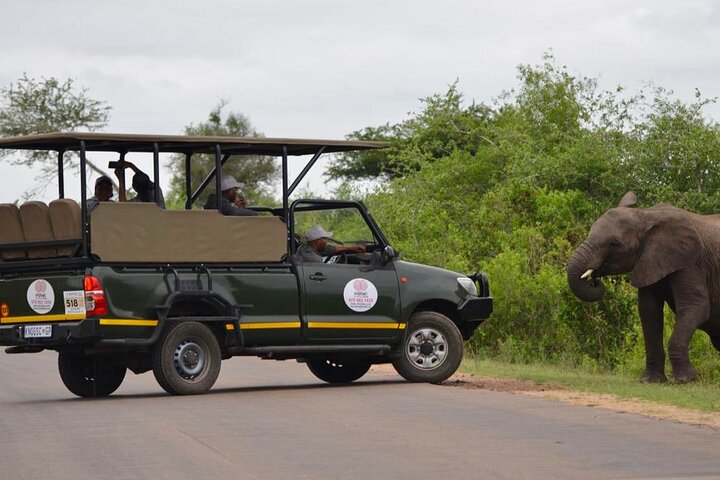 All Inclusive 2 Day Kruger Safari from Nelspruit