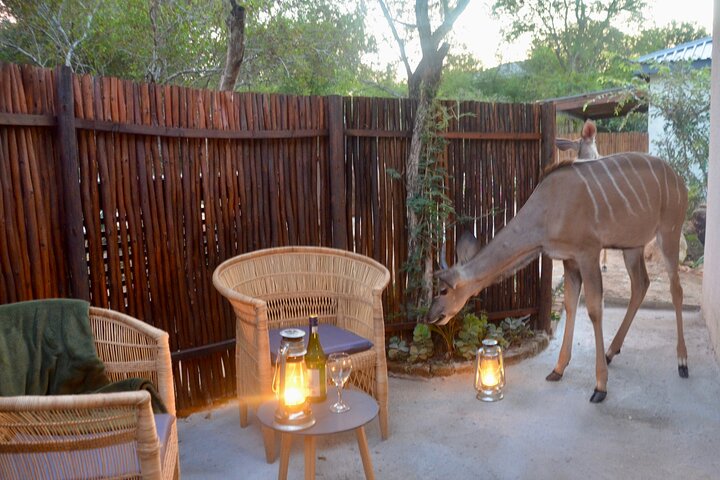 All Inclusive 2 Day Kruger Safari from Nelspruit