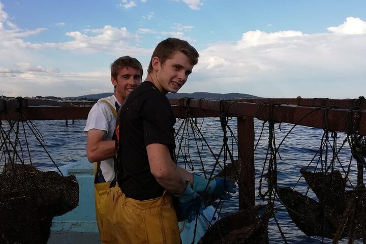 Picpoul de Pinet Tour - Half Day Oysters and Wines