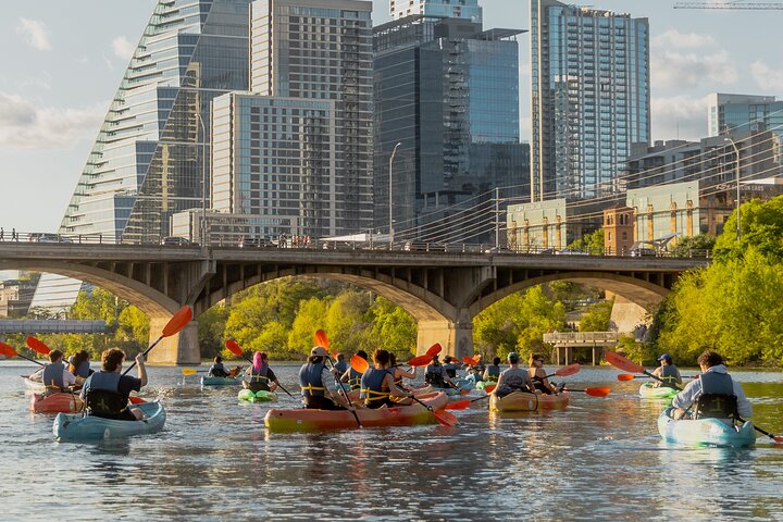 Guided Sunset Bat Kayak Tour in Austin