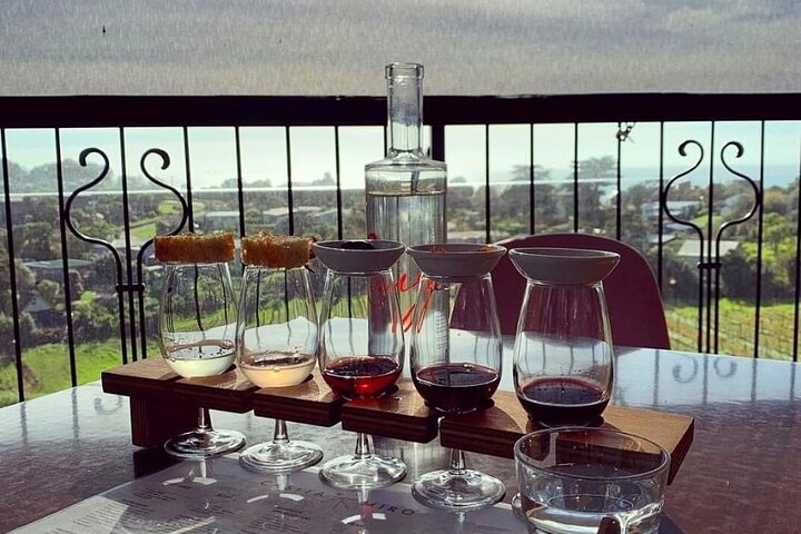 Waiheke Island Gourmet Food and Wine Tour