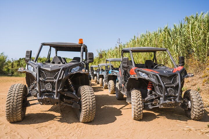 Korcula Buggy Safari Tour: Beaches, Backroads & Wine Tastings