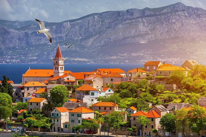 Private One Way Transfer from Brac to Split