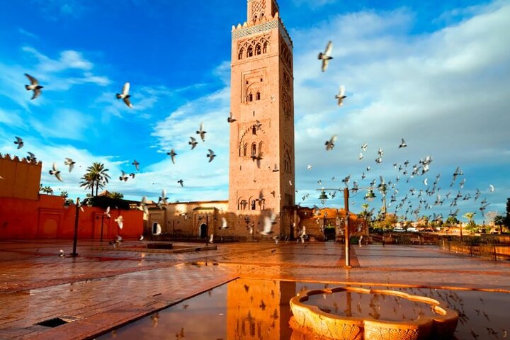 Marrakech Guided Day Trip from Agadir: Medina & Souks Tour