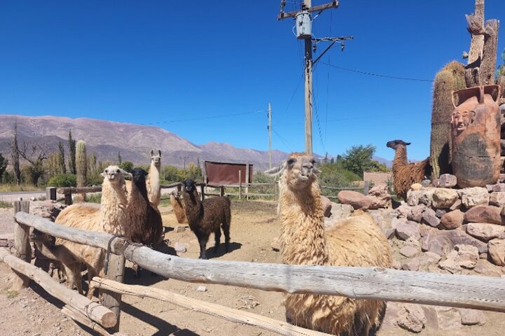 From Salta: Pack of 4 Excursions in Salta and Jujuy