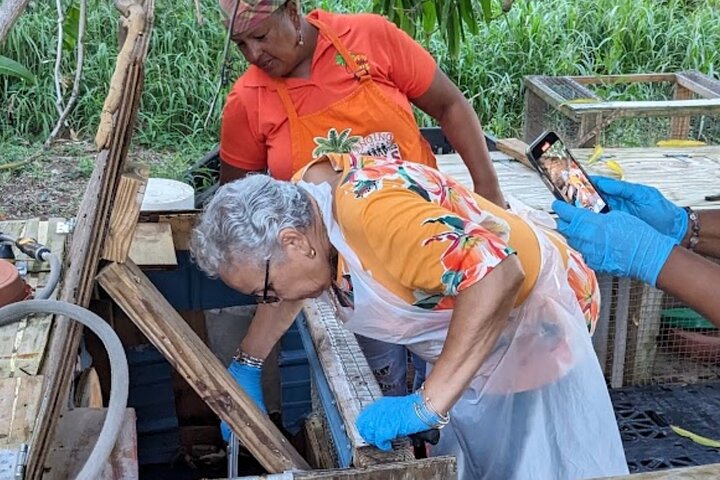 A Evening Cultural Experience Through Food Cooking Class St. Croix