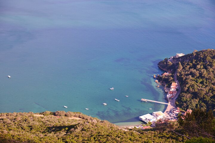 Dolphin watching in Setúbal