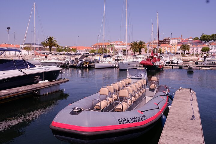 Dolphin watching in Setúbal