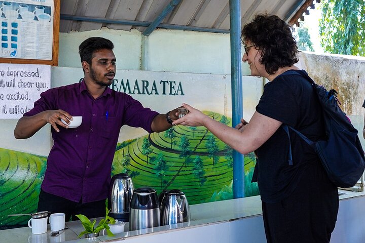 Half Day Thekkady Tea Trail Tour