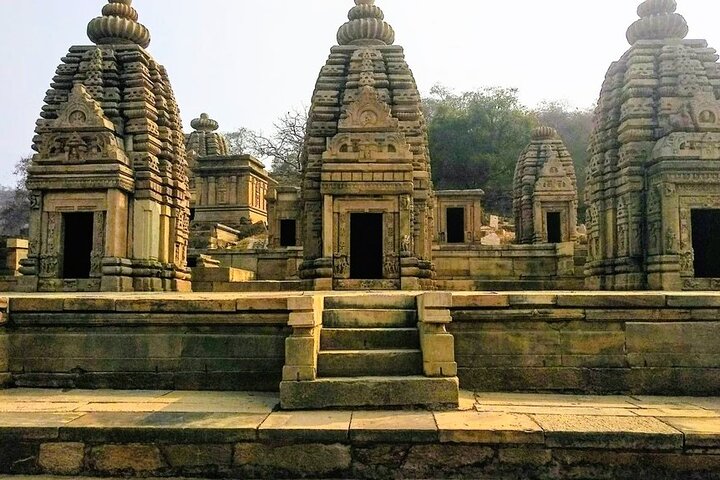 Mitawali,Padawali & Bateshwar Tour with Guide, Entrances Included