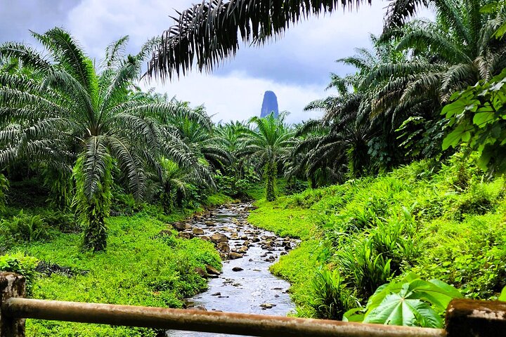 Tours in São Tomé