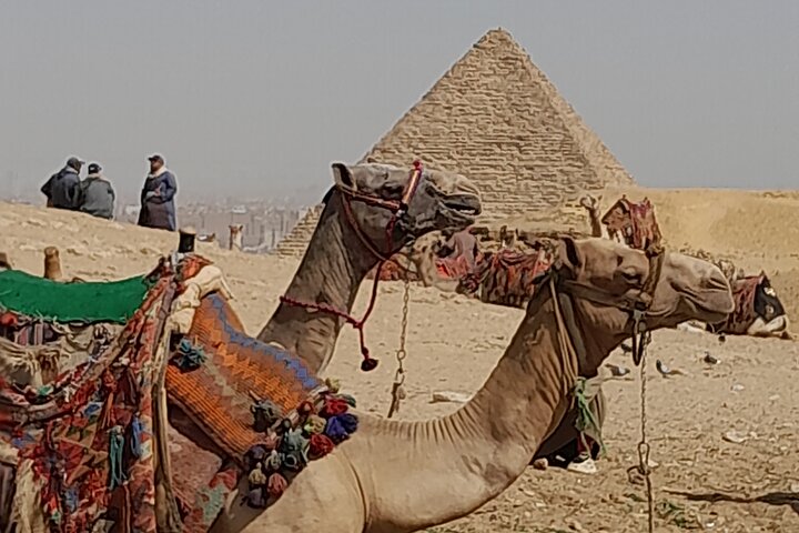 Giza Pyramids and Grand Egyptian Museum full day tour.