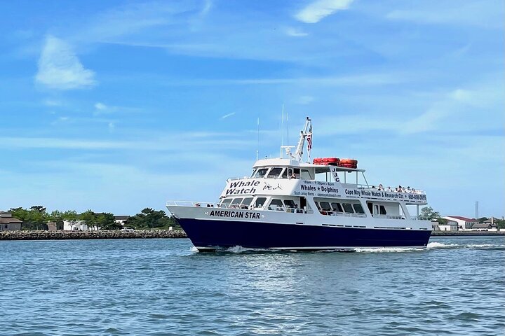Dolphin and Bird Watching Ecotour Cruise