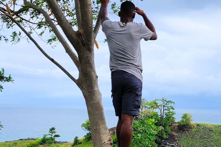 Tours in São Tomé