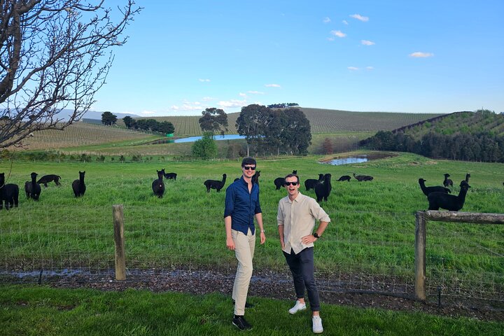 Melbourne: Yarra Valley Wine, Gin, Whisky and Chocolate Tour