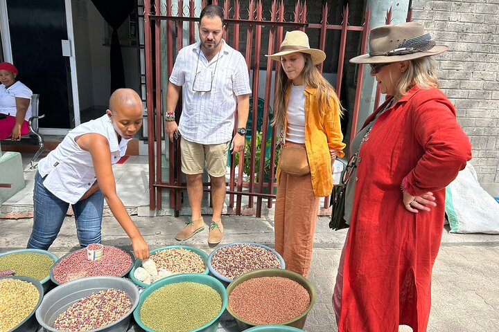 Small Group Immersive Cultural Tour in Maun