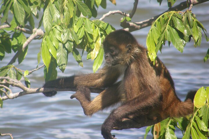 Nicaragua One Day Tour to Colonial Granada and Crafty Masaya