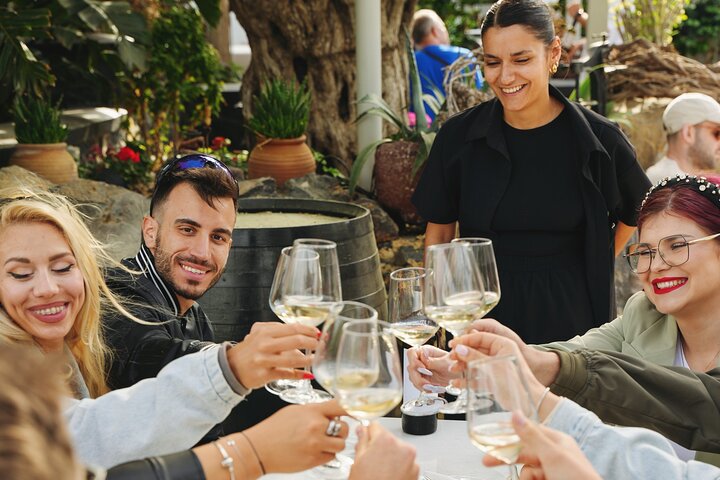 Santorini Wine Tasting & Premium Lunch at Award-Winning Winery