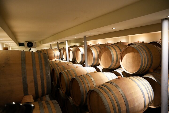 Santorini Wine Tasting & Premium Lunch at Award-Winning Winery