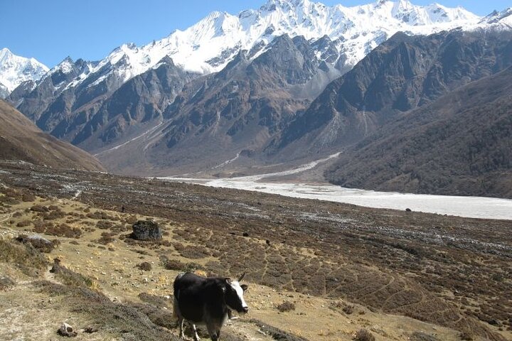 9 day Trek to Everest Base Camp from Lukla