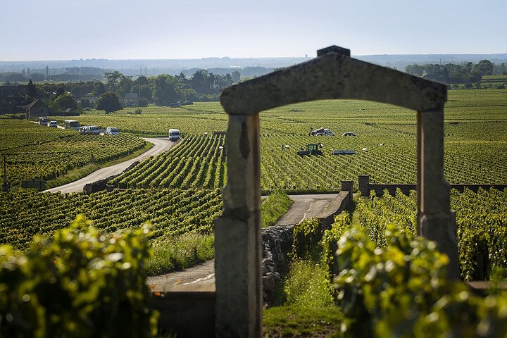 Full-Day Burgundy Wine & Gastonomy: Tastings & Gourmet Lunch
