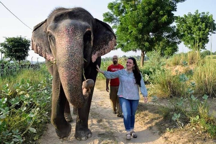 Private Elephant Sanctuary