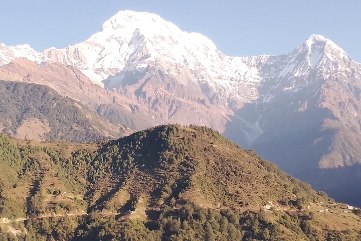 7-Day Trek to Annapurna Base Camp from Pokhara
