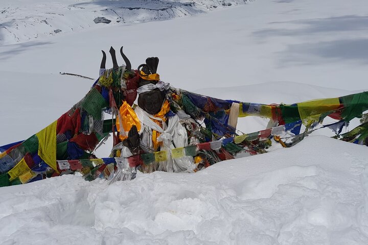 7-Day Trek to Annapurna Base Camp from Pokhara