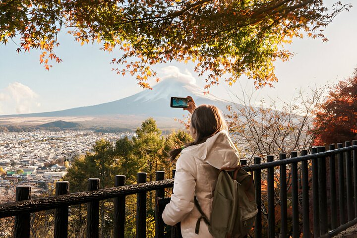 From Tokyo: Mt Fuji and Hakone Private Day Trip