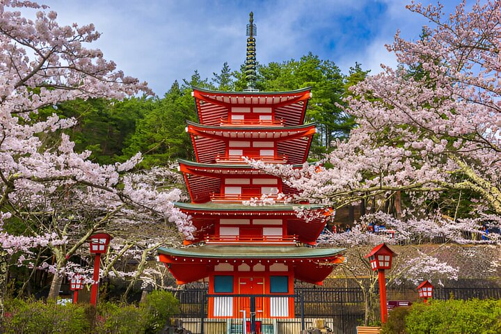 From Tokyo: Mt Fuji and Hakone Private Day Trip
