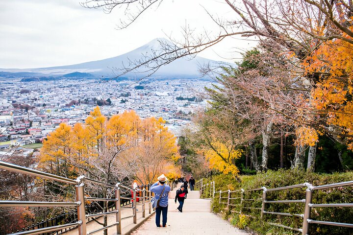 From Tokyo: Mt Fuji and Hakone Private Day Trip