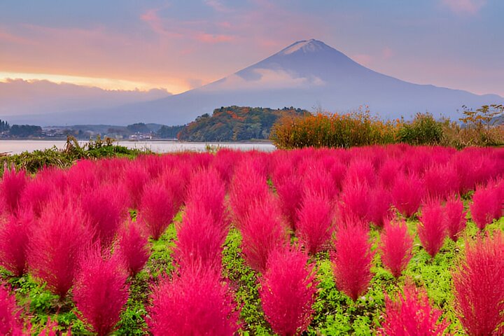 From Tokyo: Mt Fuji and Hakone Private Day Trip