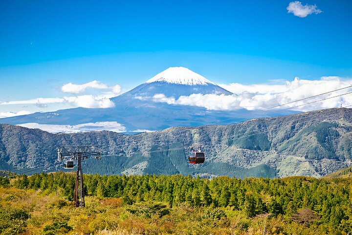 From Tokyo: Mt Fuji and Hakone Private Day Trip