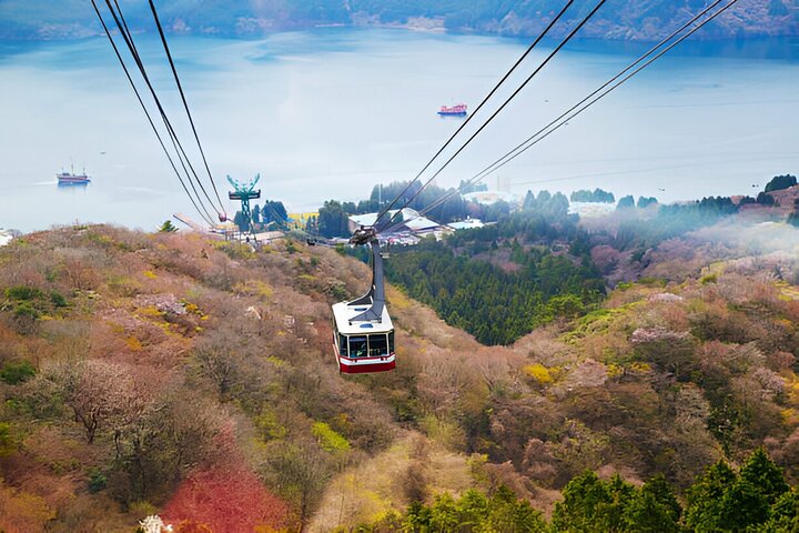 From Tokyo: Mt Fuji and Hakone Private Day Trip
