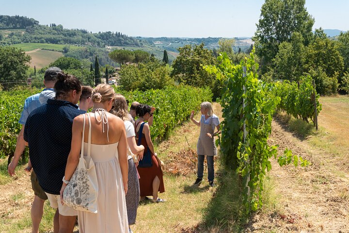 Wine Tour with Lunch and Wine Tasting