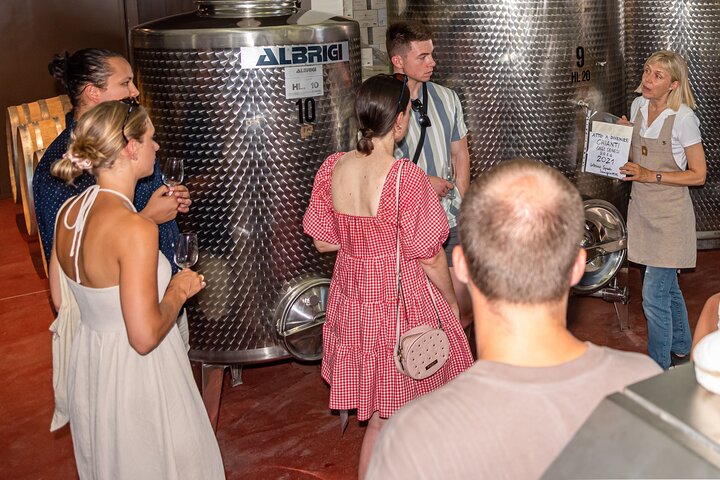 Wine Tour with Lunch and Wine Tasting