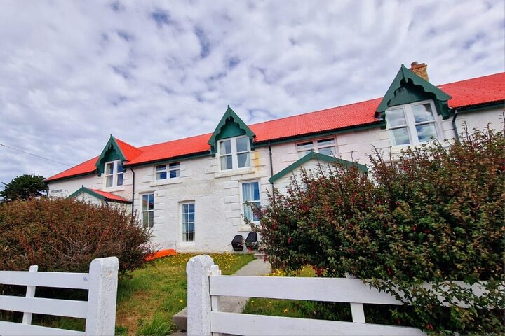 Falkland Islands Shared Tour Sightseeing with Penguins